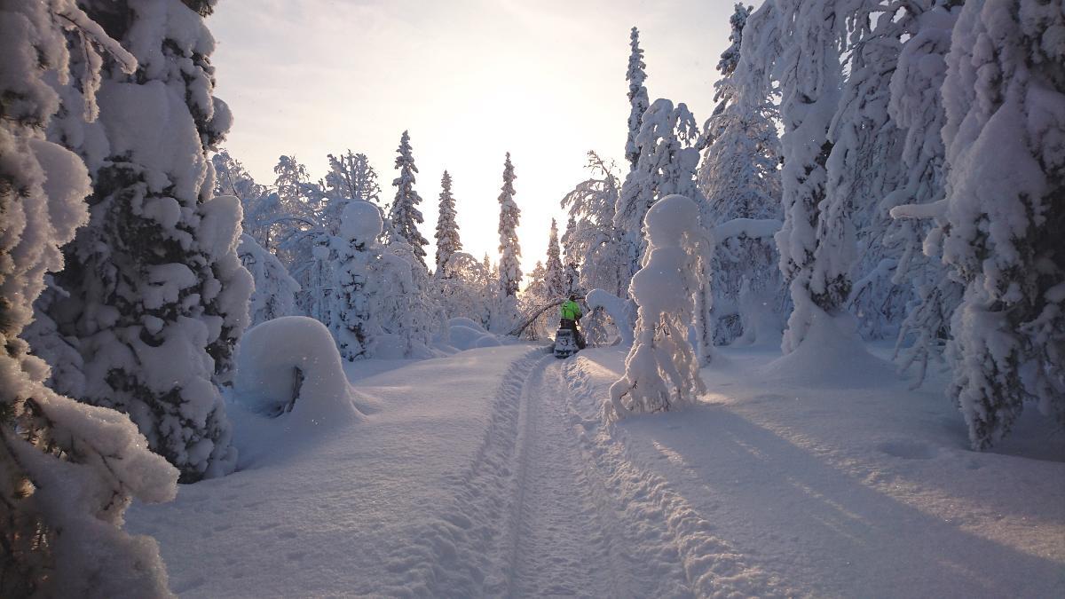 Lapland Snow Cabin Masugnsbyn Exterior photo